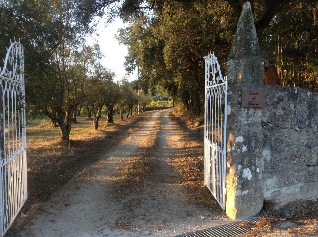 Quinta Do Bravio Villa Barroselas Eksteriør bilde